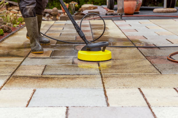 Best Winterizing Services  in Madison, SD